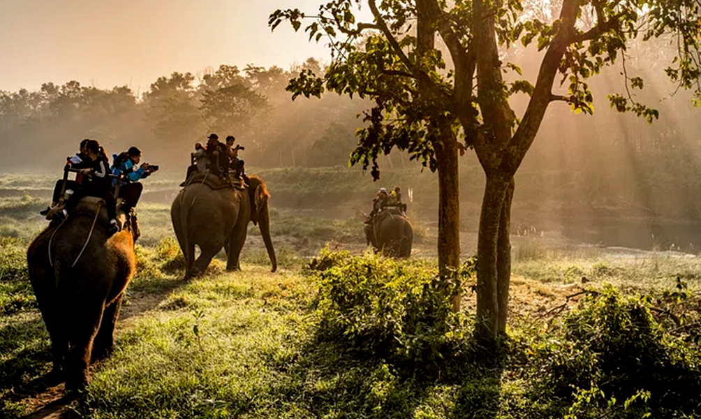 Jungle Safari in Nepal